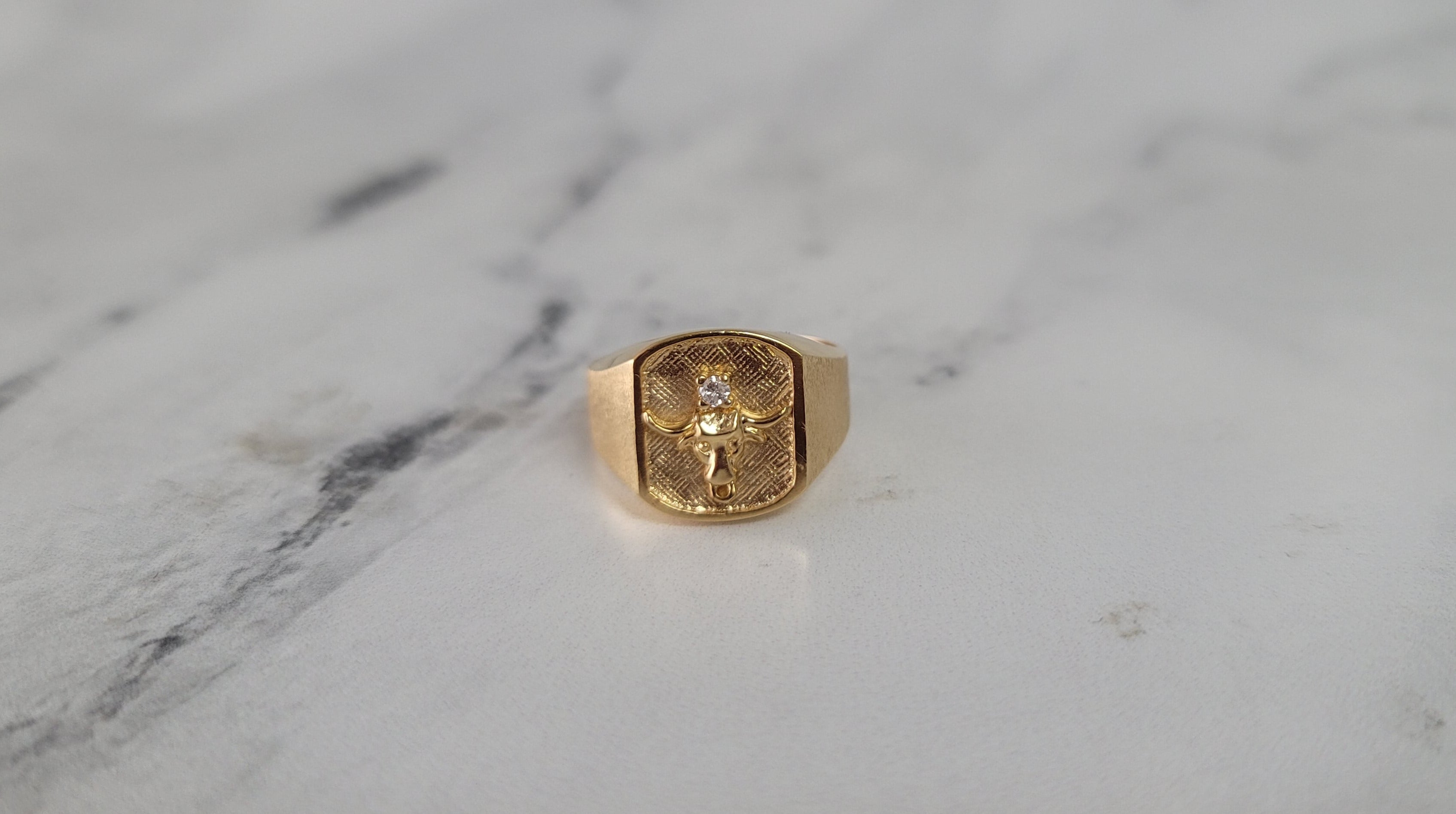 Longhorn Diamond Ring with Brushed Satin Finish on Side