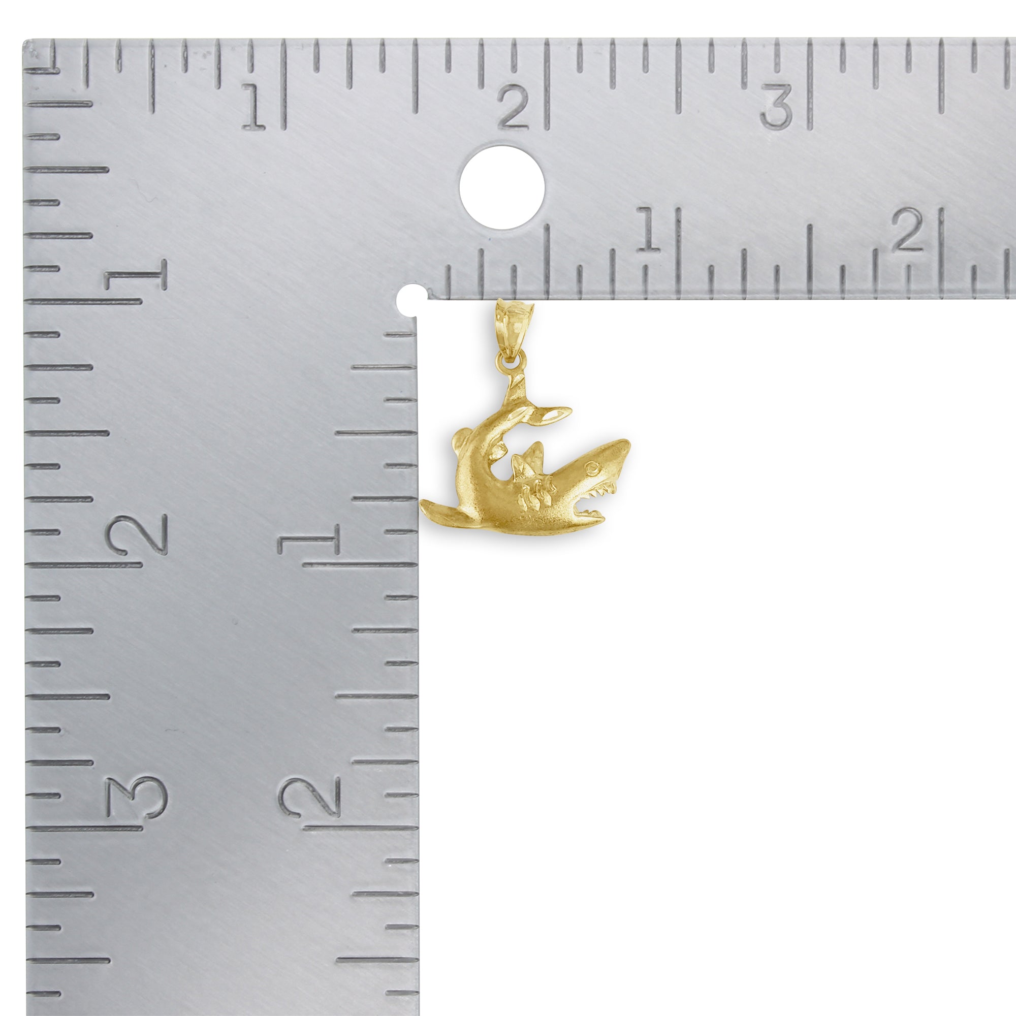 Ocean shark pendant