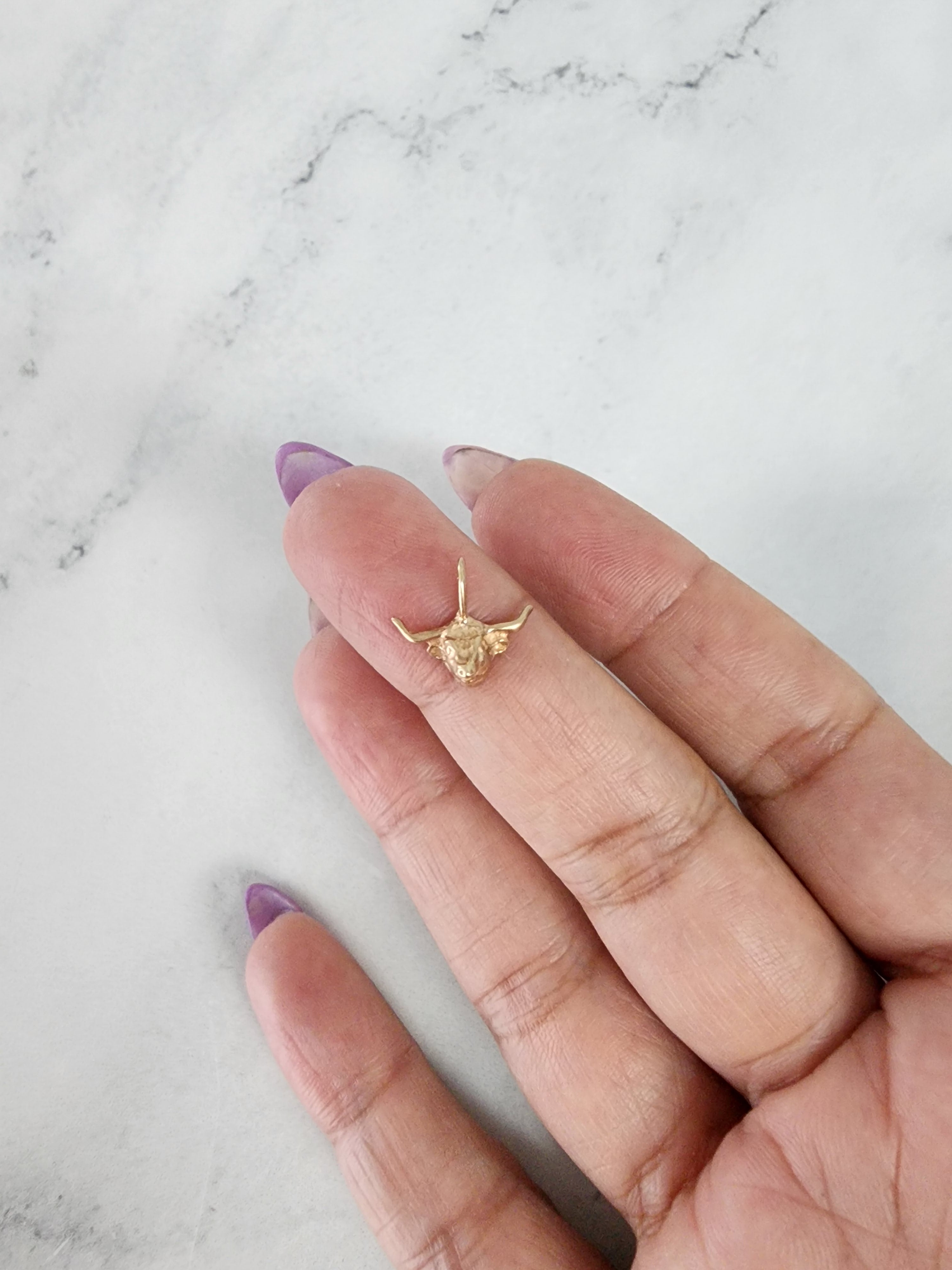 LONGHORN 14k Yellow Gold Charm