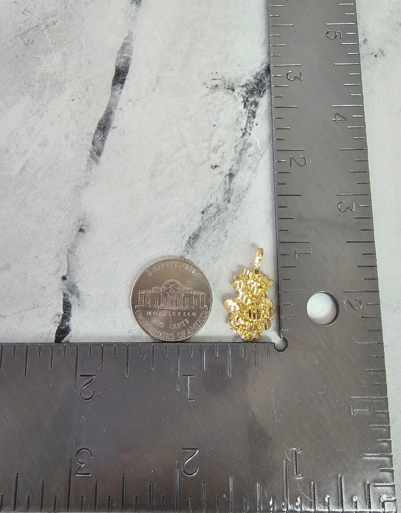 Dainty Small Nugget Charm/Pendant 10k Yellow gold