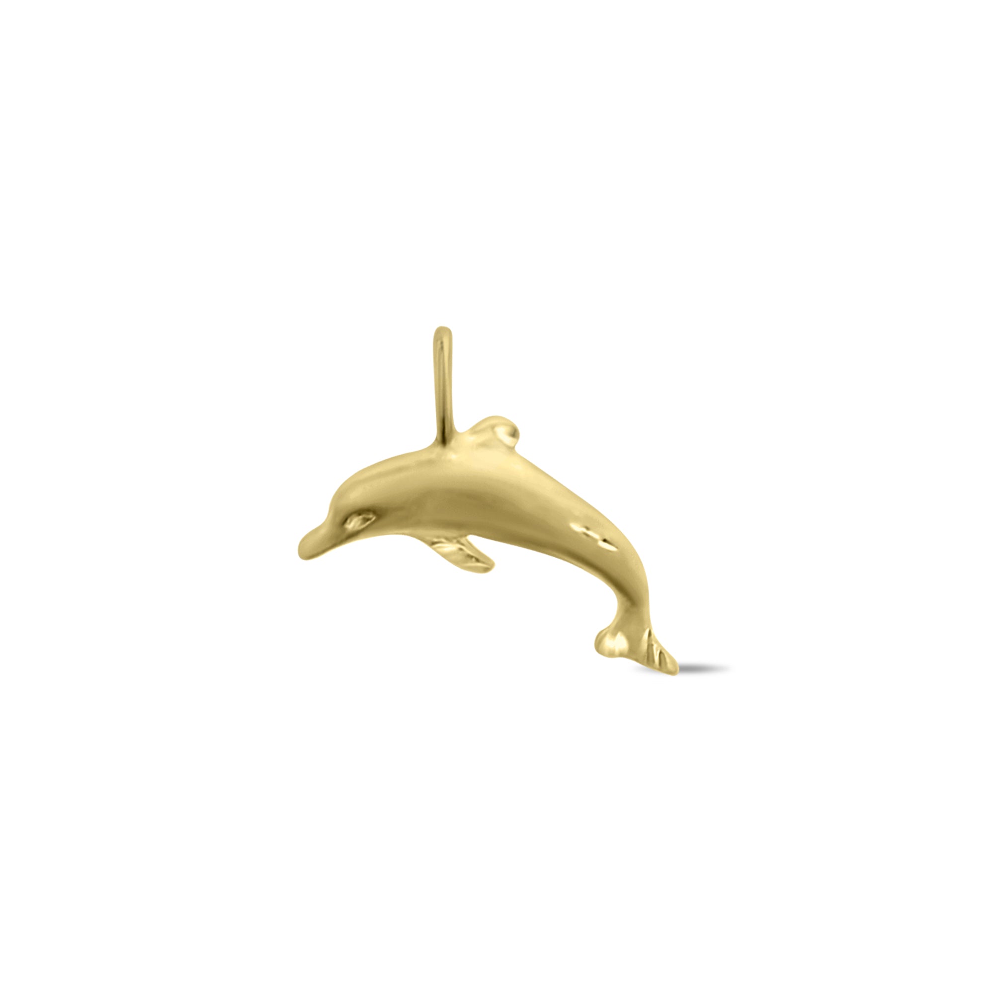 Brushed Satin Dolphin with Diamond Cuts Charm