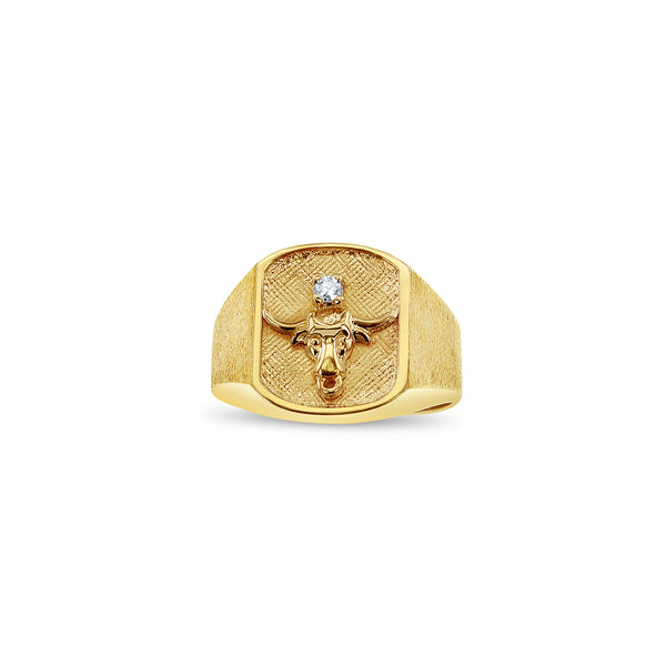 Longhorn Diamond Ring with Brushed Satin Finish on Side